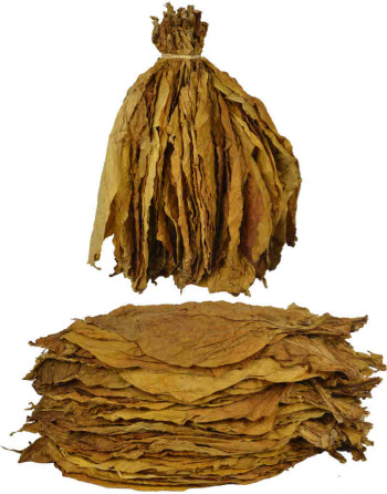 Feuilles naturelles de tabac oriental samsoun - 49.9 euros le kilo !