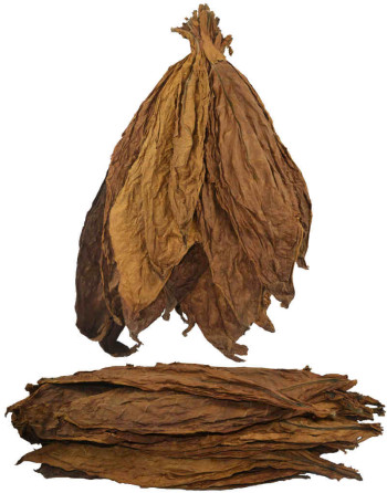 Feuilles de tabac naturelles kentucky fire cured - 49.9 euros le kilo !