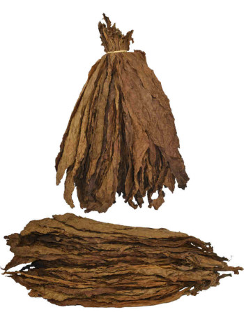 Feuilles naturelles de tabac burley brun - 49.9 euros le kilo !